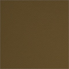 Symphony Classic Barley